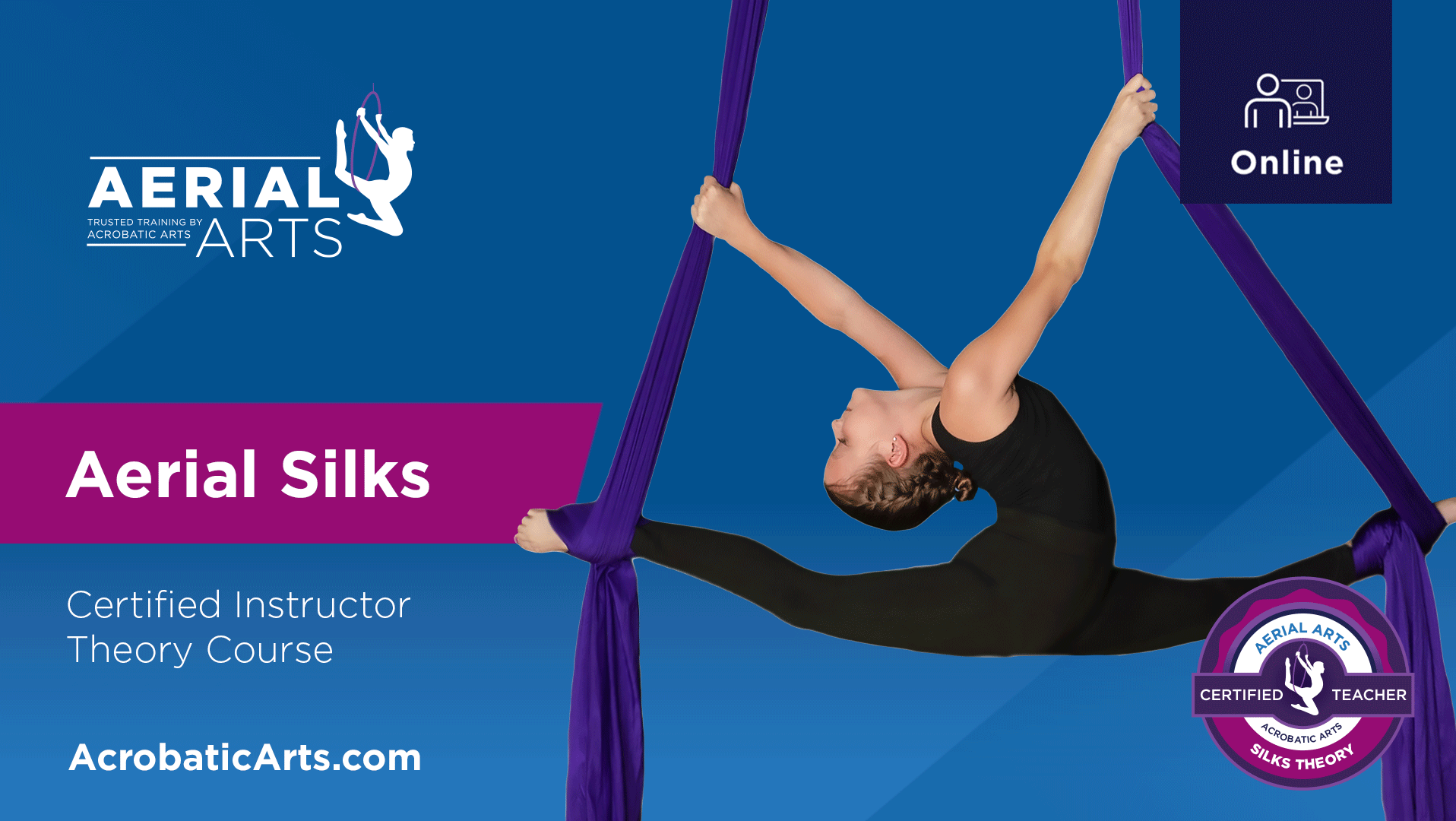 acrobatic-arts-silks-theory-live-online